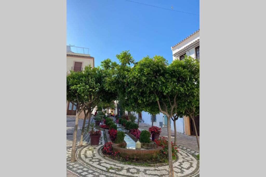 Estepona Seaview Apartment Seletur エクステリア 写真